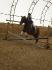 Moi & Cognac au saut :)