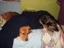Shelby et sascha ma petite vieille!