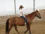 Moi sur mon cheval que j`adore :)