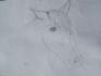 Draw ^