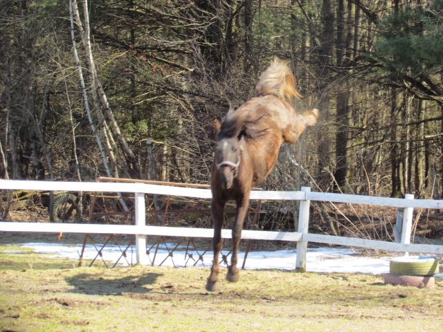 Les folies du printemps de Ugho