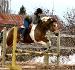 Kyle au saut :) le meilleur des poney :D