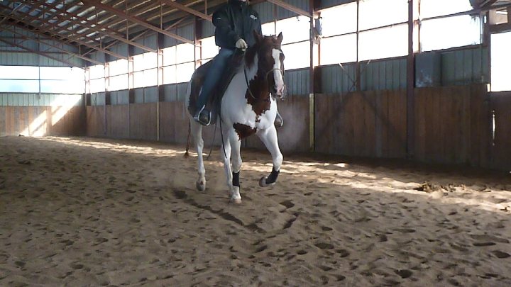 Smokey (L)
