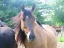 Notre belle Ice lorsqu'elle avait 18 ans :)
