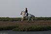 Shooting photo dans la Camargue en France avec un...