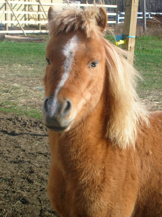 Il as-tu une belle face ce Minigo ? :)