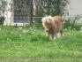Ma petite Appy qui approche les 1 an ! <3