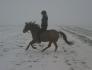Galop a cru dans la neige, mes mains deviennent des ailes