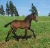 B&eacute;b&eacute; Rudy (Rainmaker)