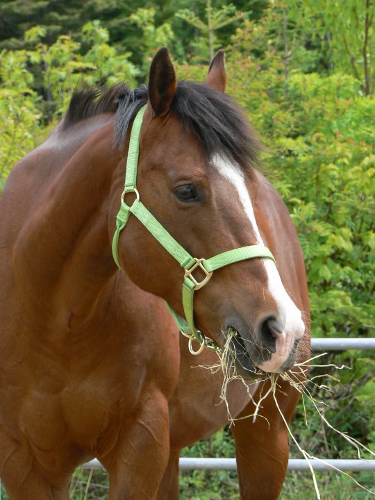 Ma perle rare :)