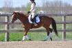 Tequila Sunrise & moi, photo par Myloup / 10 mai