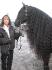 Milady, représentante de la race Canadienne au Salon du cheval...
