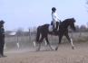 Clinique avec Andrea Brezee avril 2010!