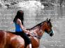 Jet 'aime telement (L)