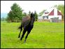 Nikita en plien action