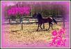 Mon bb :)
