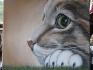 chat sur toile acrylique
