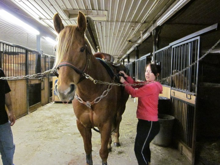 Mon cheval (L) "Hesa Mystic Blues Man" (L) fils de "Stop and...