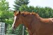 Tequila Sunrise -03 juin 2011