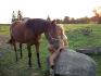 Lady Magic  & MOUUAH ! :)