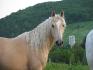 ma belle doudoune!