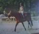 Reprise de Dressage,Avec Mélodi.
