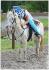 Ma fille et son premier cheval