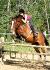  gypsie queen et moi sur un oxer a 3p6