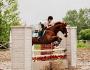 mon cheval ripple ( QH )