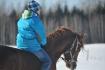 la neige suporte le cheval