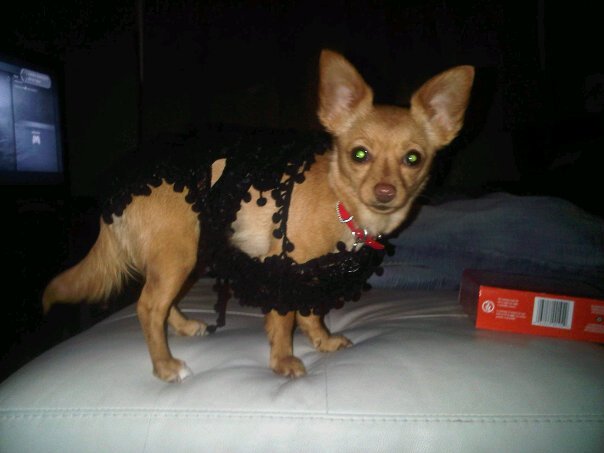 ma petite kally