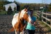 Moi et mon nouveau cheval 