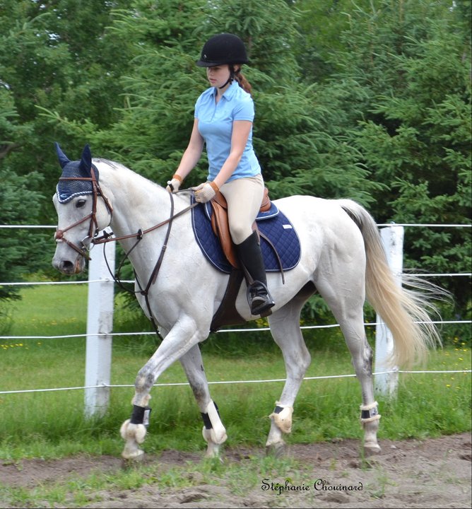 moi et mon cheval a nos 1 ans :) 1 juillet :D commenter ma...