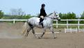 Compé dressage,entraînement. :)