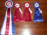 Concours vallée des bois :)   1ere place dans mon...