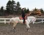 mon cheval a l'entrainement foufou 