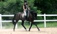 Un trot plus deep and low sans trop perdre l'équilibre !