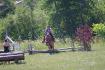 Obstacle en compétition de TREC