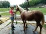 Abby et sa 2e douche &agrave; vie :)  Elle adoooore...