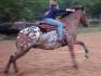 1er concour avec mon cheval