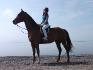 moi et shadow (cheval a plumegrise) <3