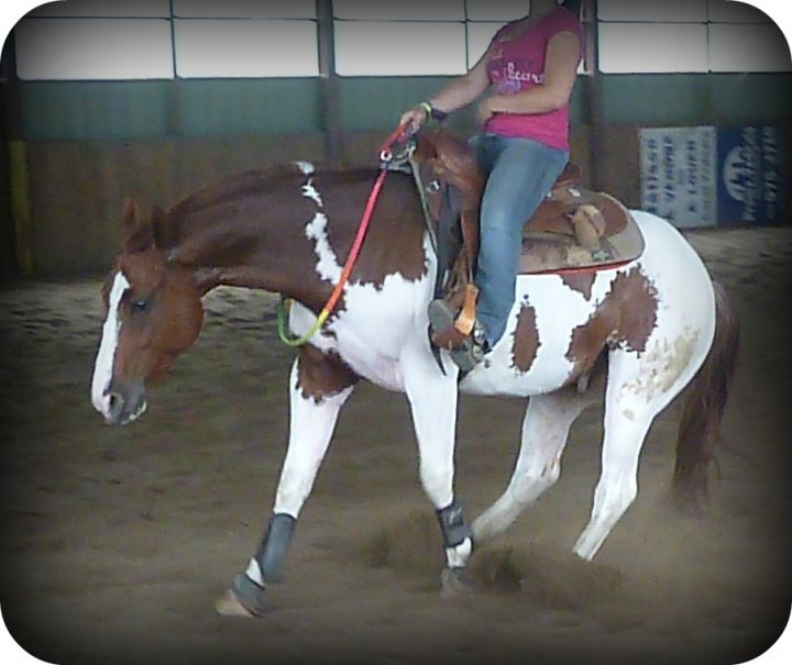 smokey a la corde <3