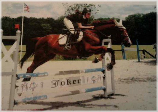 Un merveilleux concours <3
