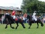Frisons magnifique à la fête du cheval à Tavigny