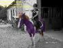 Mon petit Tandem croiser Milka