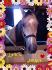 MOn bébé de reining Jam Jam to Hollywood ou...