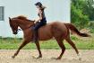 mon cheval et moi sans selle au galop