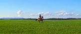 Moi et Fidelle dans le champ au galop et ont voit...