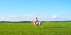 Galop en licou a cru avec ma jolie Salih :3 