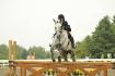 Mon petit cheval parfait (L)